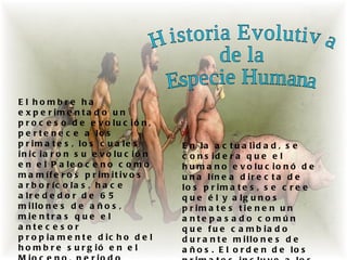 E l hombre ha
e x p e r im e n t a d o u n
p r o c e s o d e e v o lu c ió n ,
p e r t e n e c e a lo s
p r im a t e s , lo s c u a le s      E n la a c t u a lid a d , s e
in ic ia r o n s u e v o lu c ió n    c o n s id e r a q u e e l
e n e l P a le o c e n o c o m o      h u m a n o e v o lu c io n ó d e
m a m íf e r o s p r im it iv o s     u n a lín e a d ir e c t a d e
a r b o r íc o la s , h a c e         lo s p r im a t e s , s e c r e e
a lr e d e d o r d e 6 5              q u e é l y a lg u n o s
m illo n e s d e a ñ o s ,            p r im a t e s t ie n e n u n
m ie n t r a s q u e e l              a nte p a s a d o c o mún
a nte c e s o r                       q u e f u e c a m b ia d o
p r o p ia m e n t e d ic h o d e l   d u r a n t e m illo n e s d e
h o m b r e s u r g ió e n e l        a ñ o s . E l o r d e n d e lo s
 