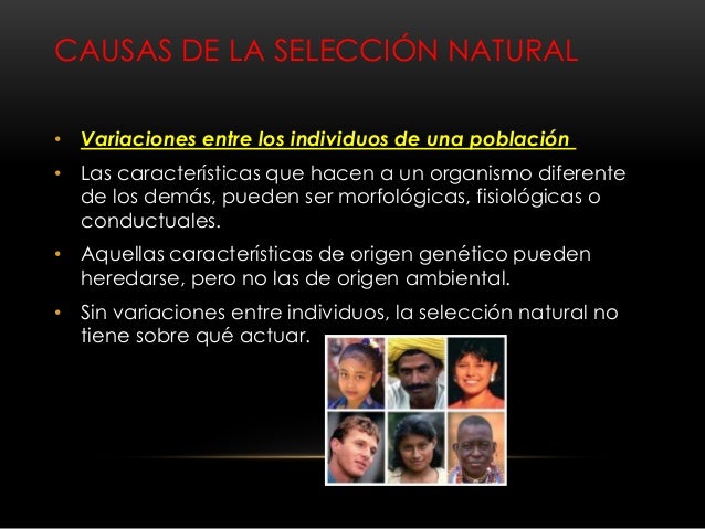 Seleccion natural y seleccion artificial