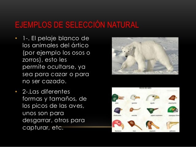 Imagen relacionada