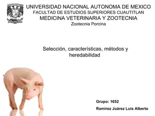 Zootecnia Porcina Selección, características, métodos y heredabilidad  Grupo: 1652 Ramírez Juárez Luis Alberto UNIVERSIDAD NACIONAL AUTONOMA DE MEXICO FACULTAD DE ESTUDIOS SUPERIORES CUAUTITLAN MEDICINA VETERINARIA Y ZOOTECNIA 