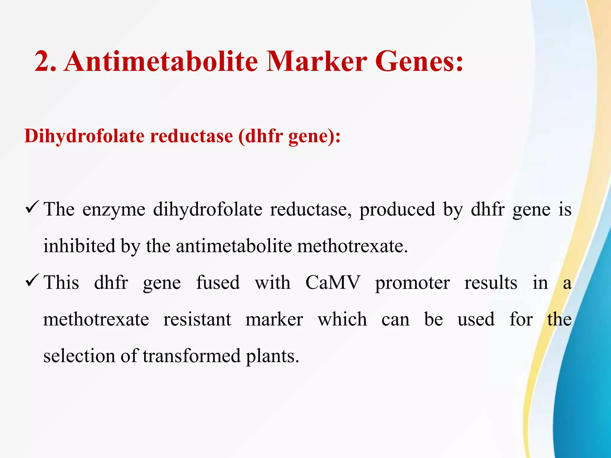Selectable marker genes | PPTX