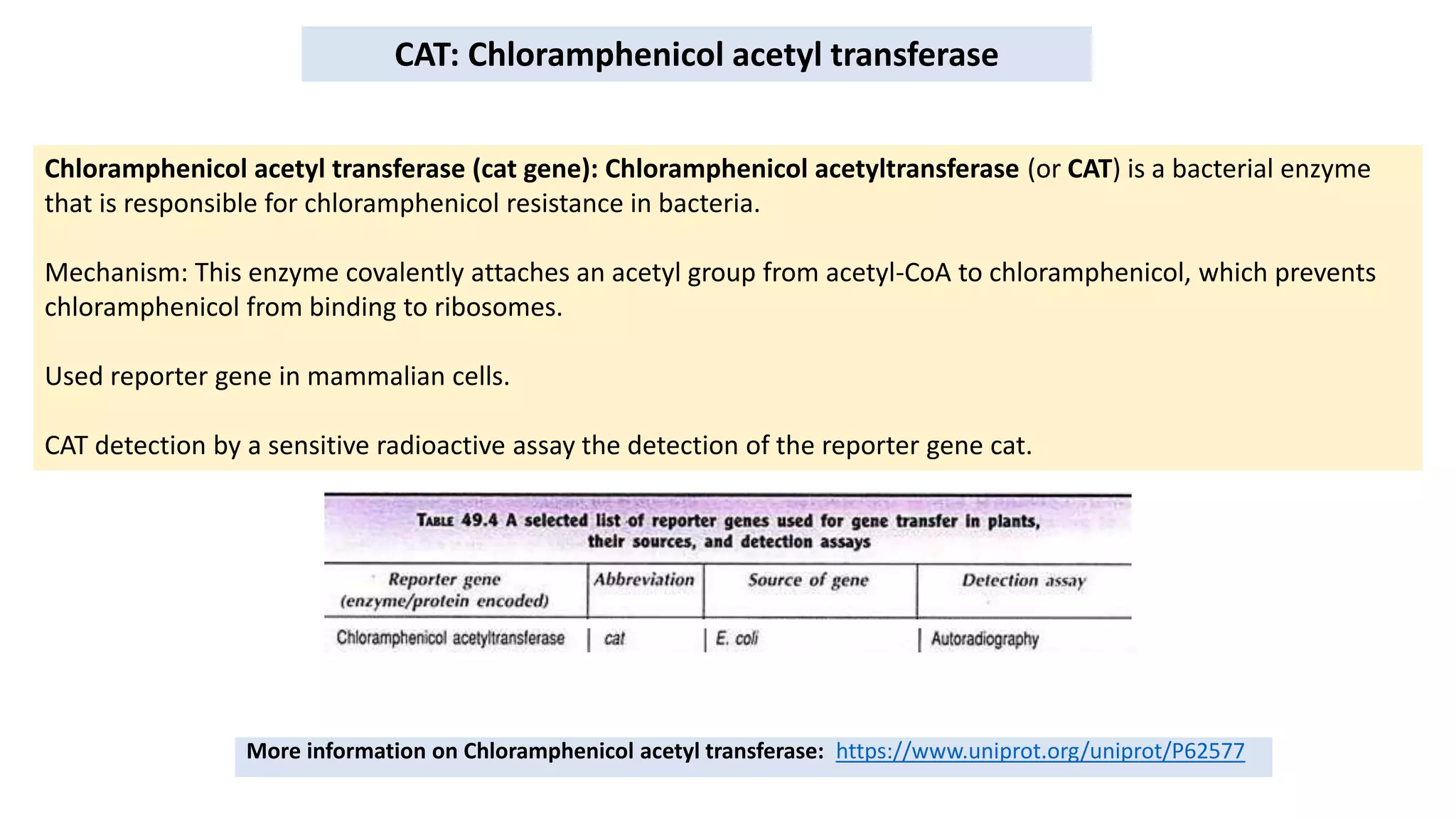 Selectable markers | PPTX