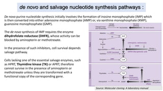 de novo and salvage nucleotide synthesis pathways :
De novo purine nucleotide synthesis initially involves the formation of inosine monophosphate (IMP) which
is then converted into either adenosine monophosphate (AMP) or, via xanthine monophosphate (XMP),
guanosine monophosphate (GMP).
Source: Molecular cloning: A laboratory manual
The de novo synthesis of IMP requires the enzyme
dihydrofolate reductase (DHFR), whose activity can be
blocked by aminopterin or methotrexate.
In the presence of such inhibitors, cell survival depends
salvage pathway.
Cells lacking one of the essential salvage enzymes, such
as HPRT, Thymidine kinase (TK) or APRT, therefore
cannot survive in the presence of aminopterin or
methotrexate unless they are transformed with a
functional copy of the corresponding gene.
 