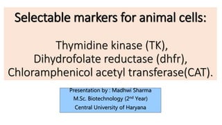 Selectable markers for animal cells:
Thymidine kinase (TK),
Dihydrofolate reductase (dhfr),
Chloramphenicol acetyl transferase(CAT).
Presentation by : Madhwi Sharma
M.Sc. Biotechnology (2nd Year)
Central University of Haryana
 