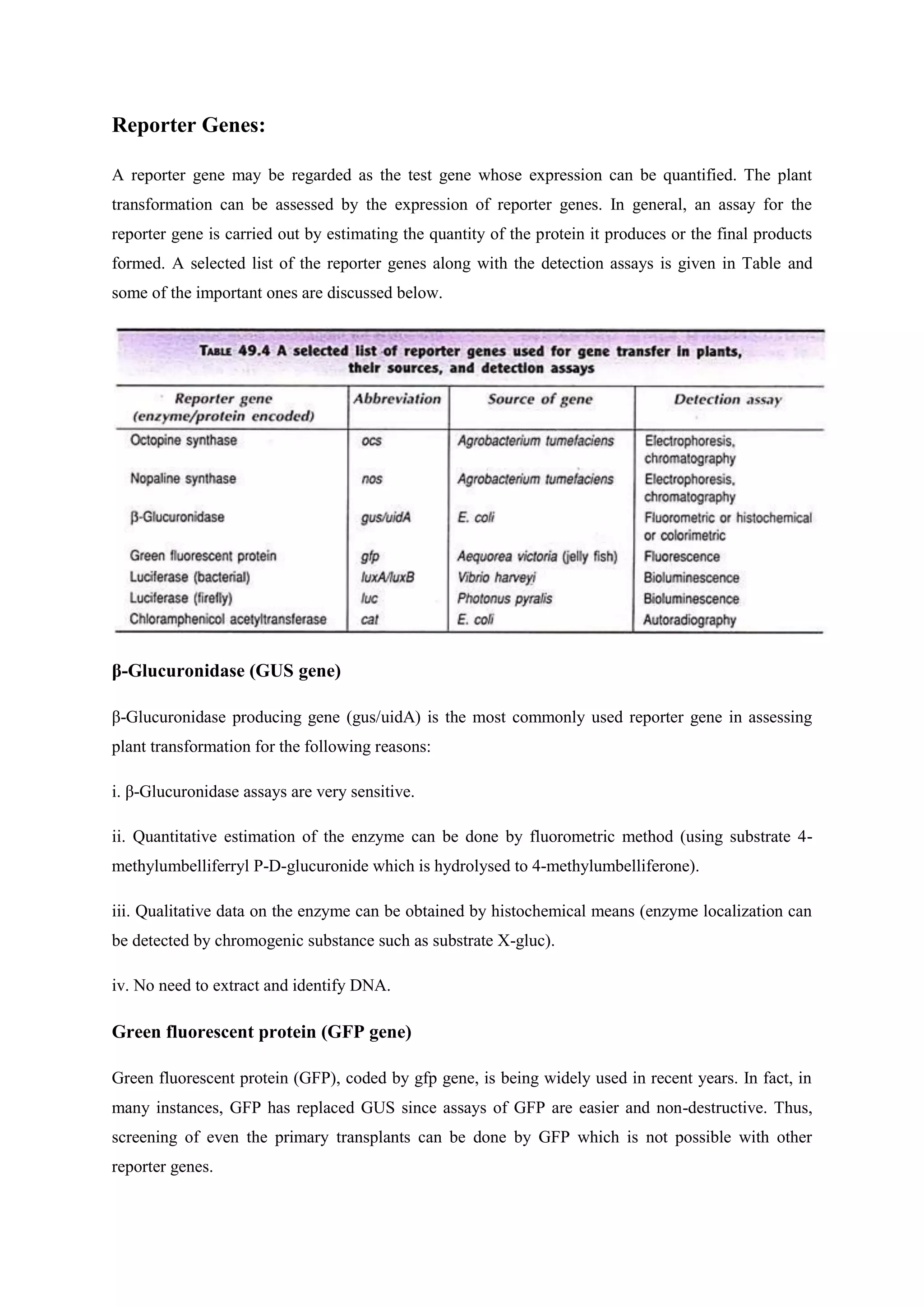 Reporter Genes:
A reporter gene may be regarded as the test gene whose expression can be quantified. The plant
transformation can be assessed by the expression of reporter genes. In general, an assay for the
reporter gene is carried out by estimating the quantity of the protein it produces or the final products
formed. A selected list of the reporter genes along with the detection assays is given in Table and
some of the important ones are discussed below.
β-Glucuronidase (GUS gene)
β-Glucuronidase producing gene (gus/uidA) is the most commonly used reporter gene in assessing
plant transformation for the following reasons:
i. β-Glucuronidase assays are very sensitive.
ii. Quantitative estimation of the enzyme can be done by fluorometric method (using substrate 4-
methylumbelliferryl P-D-glucuronide which is hydrolysed to 4-methylumbelliferone).
iii. Qualitative data on the enzyme can be obtained by histochemical means (enzyme localization can
be detected by chromogenic substance such as substrate X-gluc).
iv. No need to extract and identify DNA.
Green fluorescent protein (GFP gene)
Green fluorescent protein (GFP), coded by gfp gene, is being widely used in recent years. In fact, in
many instances, GFP has replaced GUS since assays of GFP are easier and non-destructive. Thus,
screening of even the primary transplants can be done by GFP which is not possible with other
reporter genes.
 