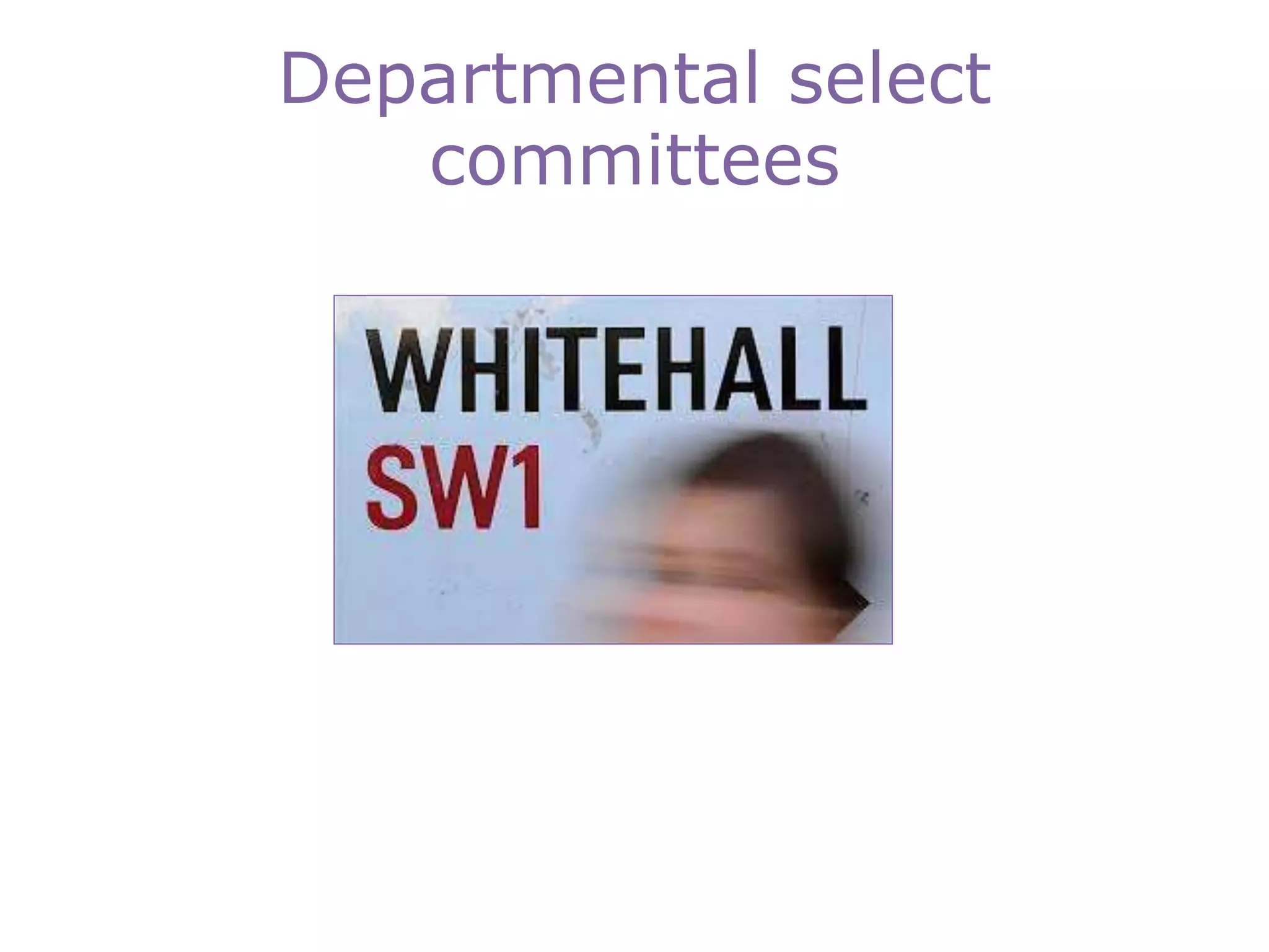 Departmental select
committees
 