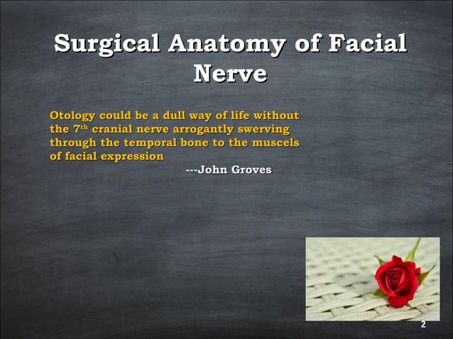 surgical anatomy of facial nerve | PPT