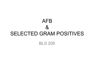 AFB &SELECTED GRAM POSITIVES BLS 206 