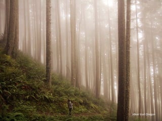 Hiker trail Oregon
 