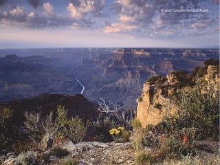 Grand Canyon Dutton Point
 