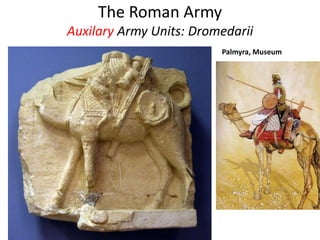 The Roman Army
Auxilary Army Units: Dromedarii
Palmyra, Museum
 