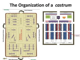 The Organization of a castrum
 