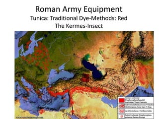 Roman Army Equipment
Tunica: Traditional Dye-Methods: Red
The Kermes-Insect
 