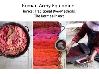 Roman Army Equipment
Tunica: Traditional Dye-Methods:
The Kermes-Insect
 