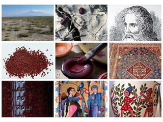 Roman Army Equipment
Tunica: Traditional Dye-Methods: Blue
Indigo
 