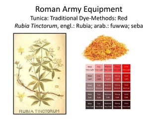 Roman Army Equipment
Tunica: Traditional Dye-Methods: Red
Rubia Tinctorum, engl.: Rubia; arab.: fuwwa; seba
 