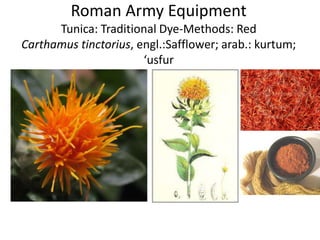 Roman Army Equipment
Tunica: Traditional Dye-Methods: Red
Carthamus tinctorius, engl.:Safflower; arab.: kurtum;
‘usfur
 
