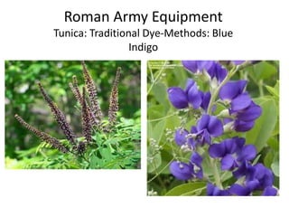 Roman Army Equipment
Tunica: Traditional Dye-Methods: Blue
Indigo
 