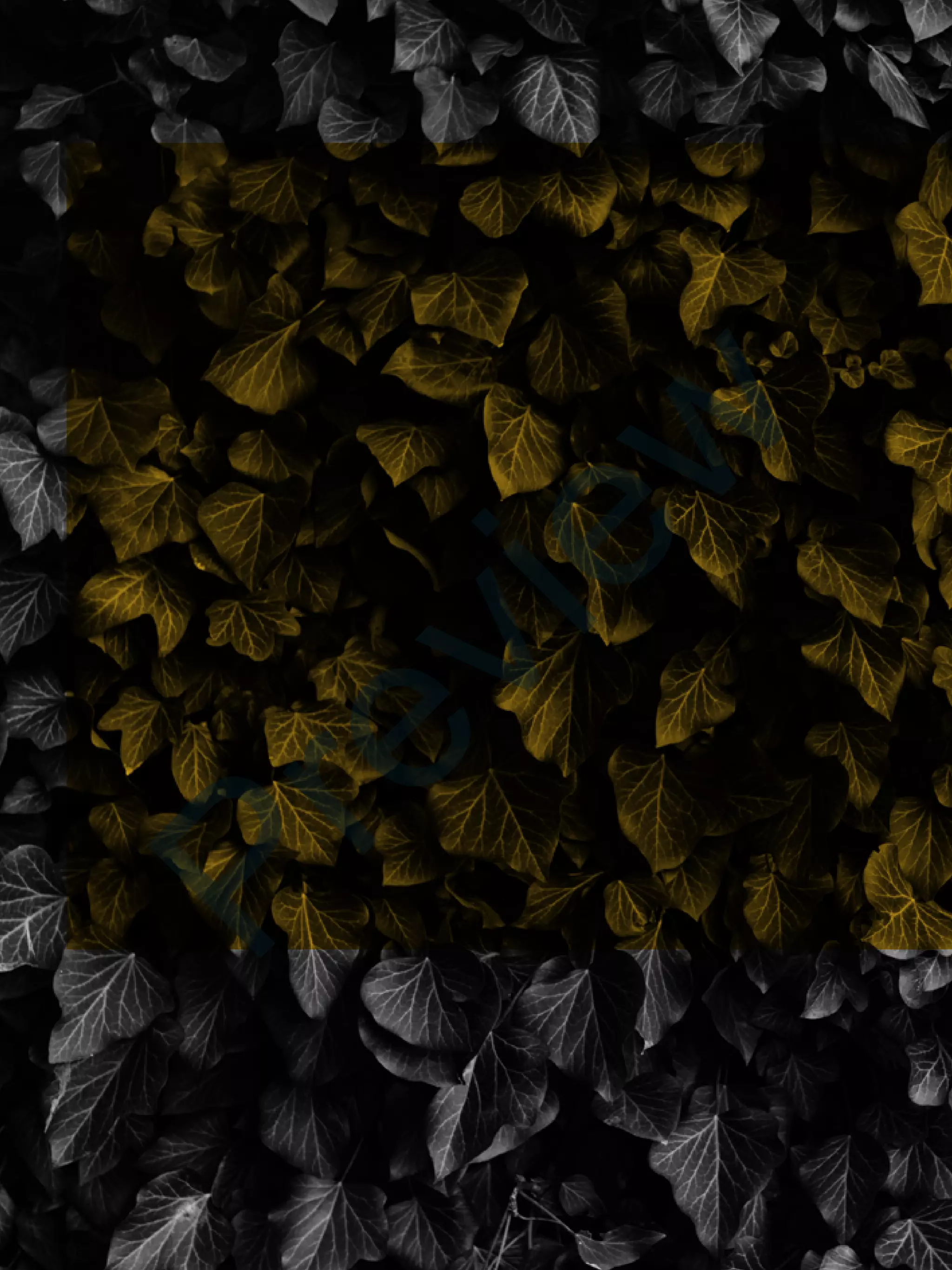 74
NOW IT'S YOUR TURN
Preview
 