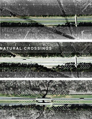 N A T U R A L C R O S S I N G S
 