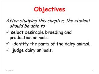 Comprehensive Guide to Selecting and Judging Dairy Cattle for Optimal ...
