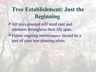Selecting and planting trees in your landscape | PPT
