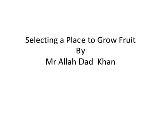Selecting a Place to Grow Fruit
By
Mr Allah Dad Khan
 