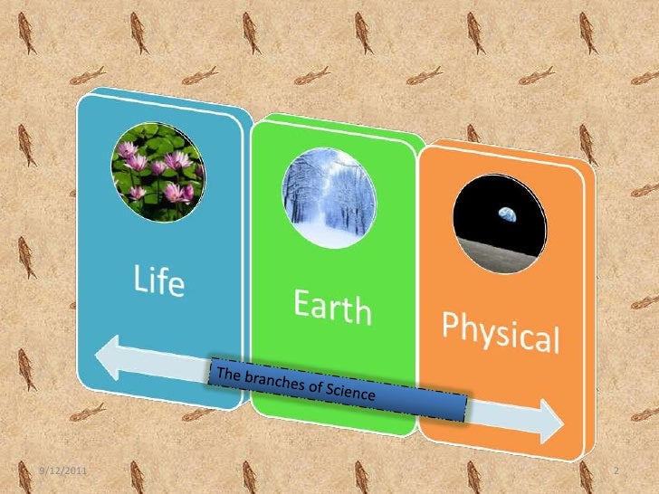 Selecting a science elective
