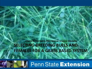 Cheryl A. Fairbairn, PSU Animal Science Educator

SELECTING BREEDING BULLS AND
FEMALES FOR A GRASS BASED SYSTEM

 