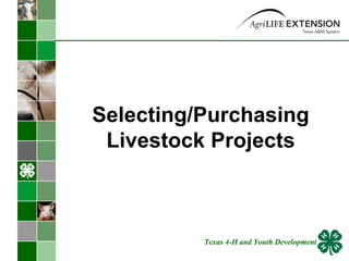 Selecting/Purchasing Livestock Projects Texas 4-H and Youth Development 