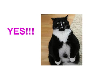 YES!!!
 