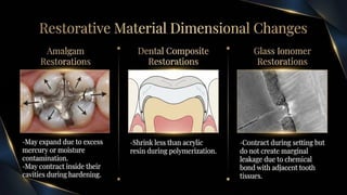 Insights into Conservative Dentistry and Endodontics by Dr. Suyash ...