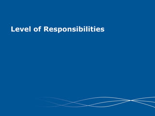 Level of Responsibilities
 