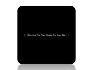 Selecting The Right Hoodie For Your Dog