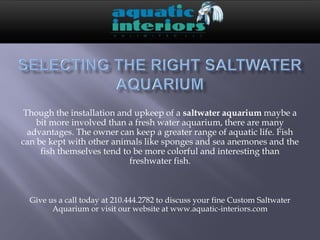 Though the installation and upkeep of a saltwater aquarium maybe a
    bit more involved than a fresh water aquarium, there are many
  advantages. The owner can keep a greater range of aquatic life. Fish
can be kept with other animals like sponges and sea anemones and the
     fish themselves tend to be more colorful and interesting than
                            freshwater fish.



  Give us a call today at 210.444.2782 to discuss your fine Custom Saltwater
        Aquarium or visit our website at www.aquatic-interiors.com
 