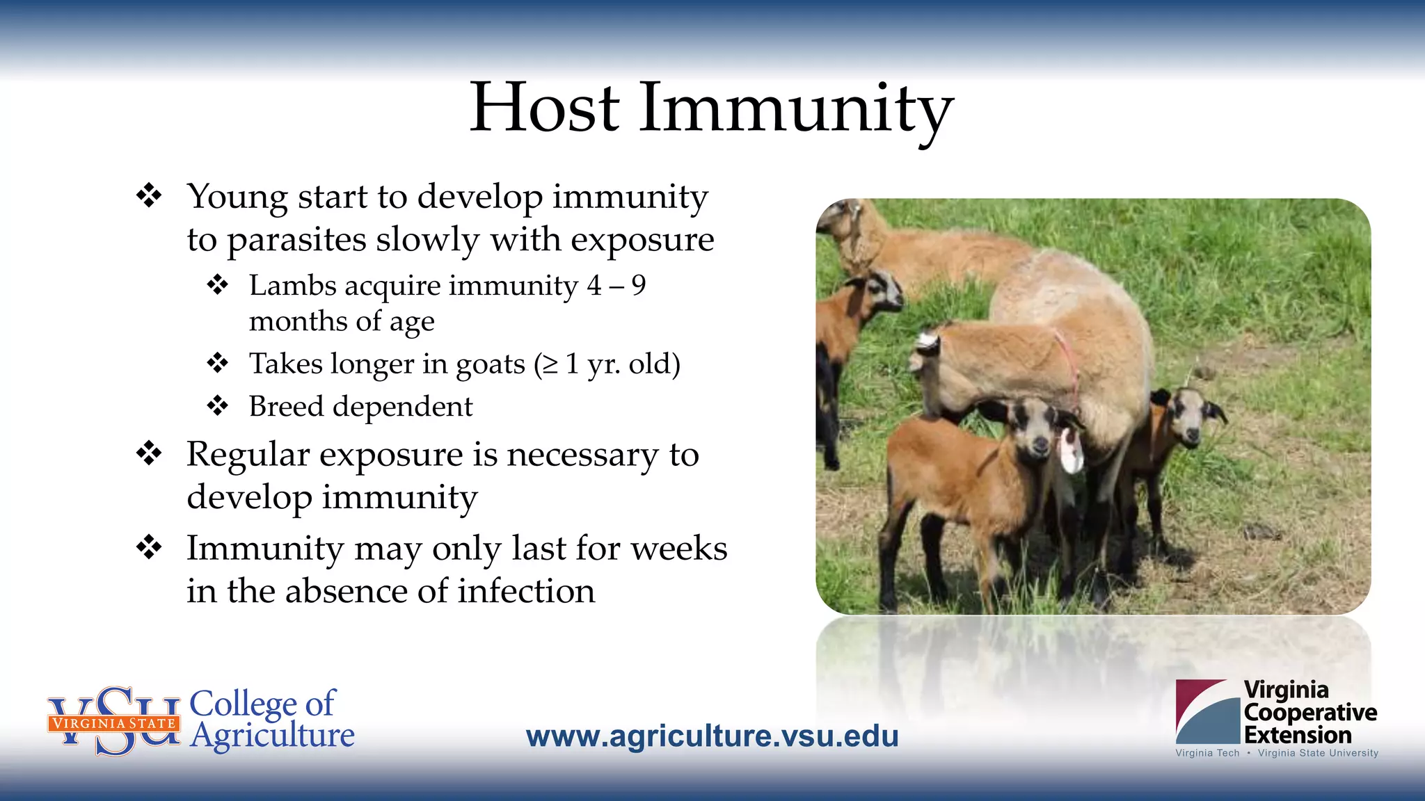 www.agriculture.vsu.edu
Host Immunity
 Young start to develop immunity
to parasites slowly with exposure
 Lambs acquire immunity 4 – 9
months of age
 Takes longer in goats (≥ 1 yr. old)
 Breed dependent
 Regular exposure is necessary to
develop immunity
 Immunity may only last for weeks
in the absence of infection
 