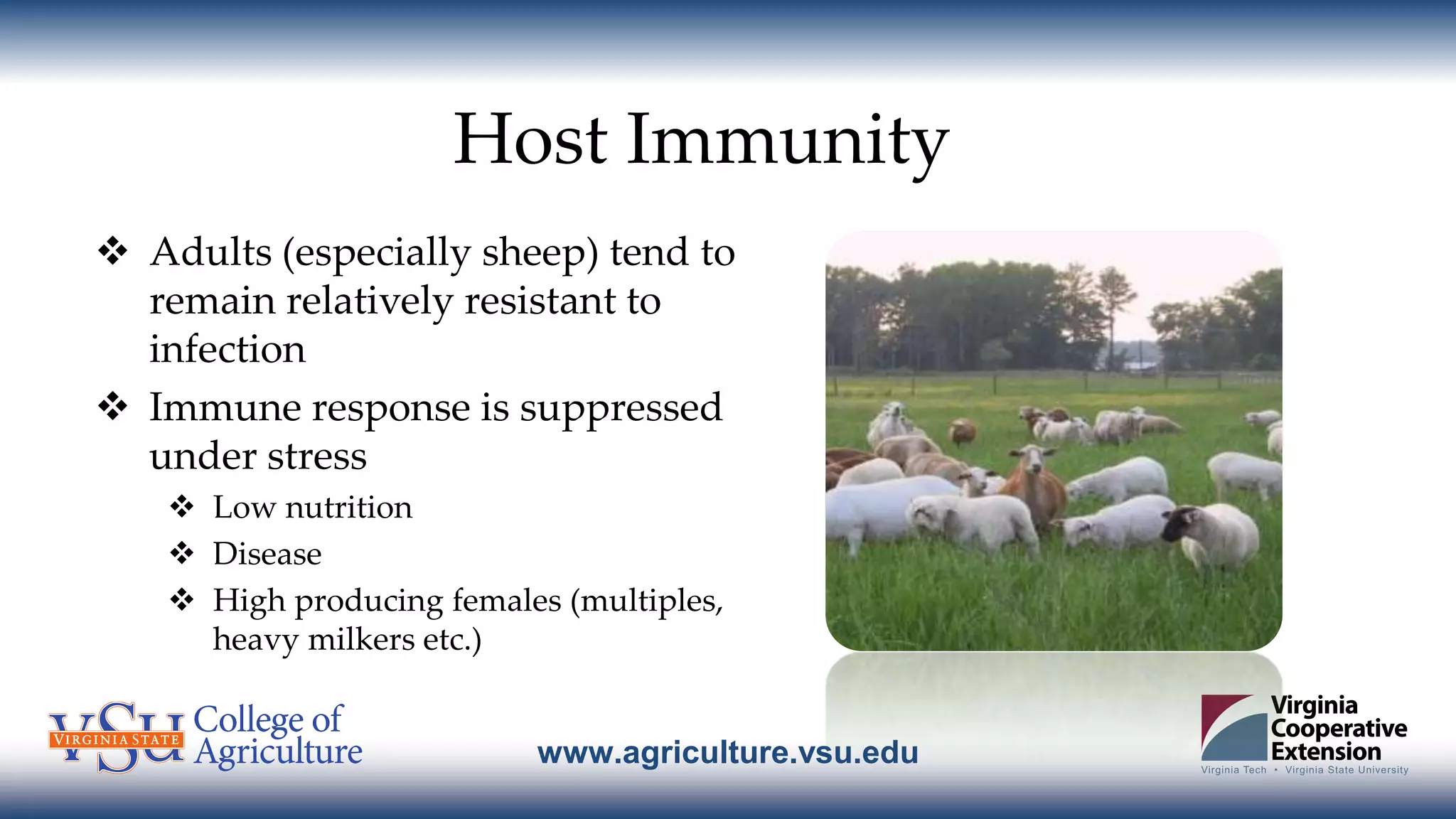 www.agriculture.vsu.edu
Host Immunity
 Adults (especially sheep) tend to
remain relatively resistant to
infection
 Immune response is suppressed
under stress
 Low nutrition
 Disease
 High producing females (multiples,
heavy milkers etc.)
 