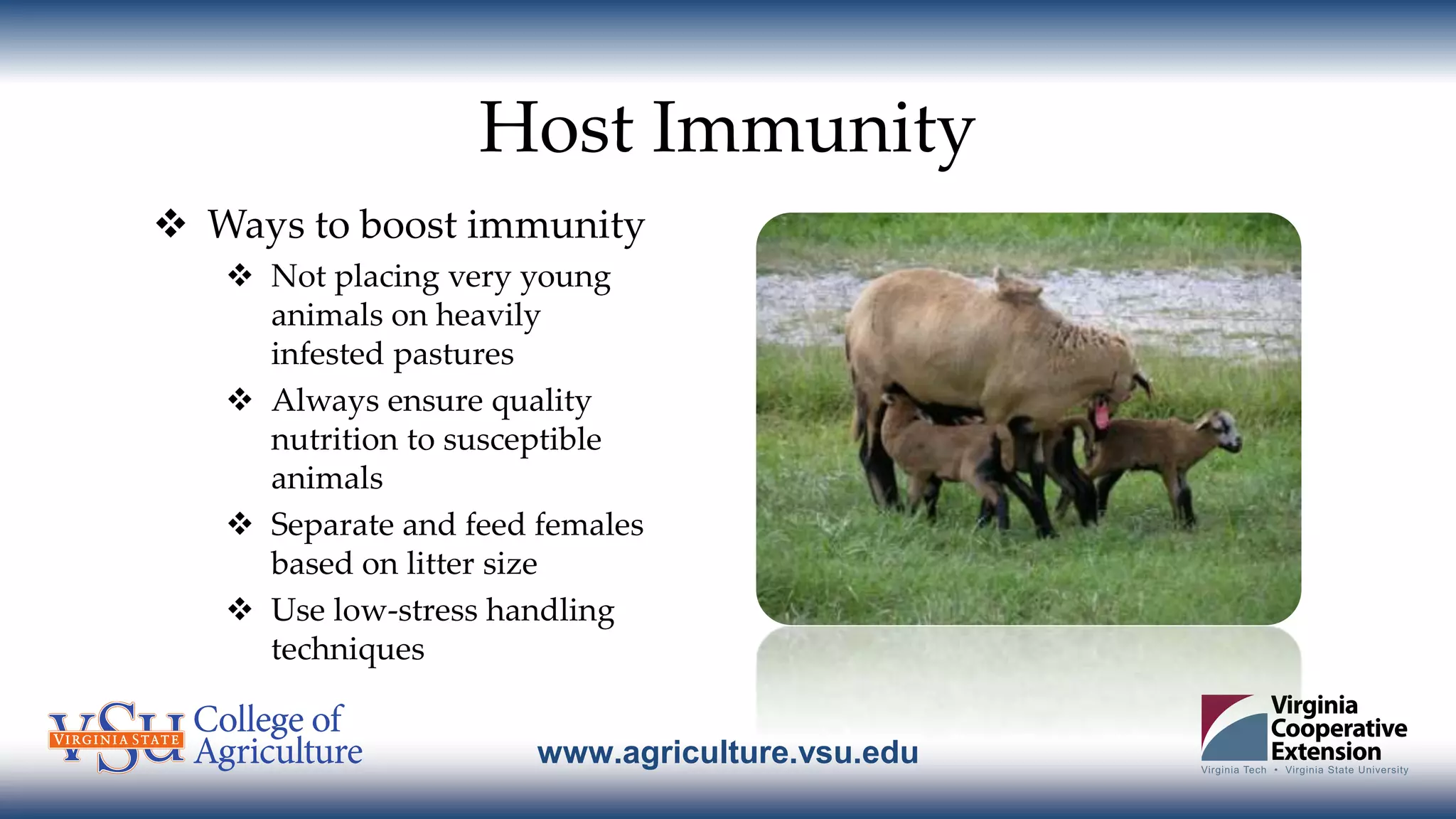 www.agriculture.vsu.edu
Host Immunity
 Ways to boost immunity
 Not placing very young
animals on heavily
infested pastures
 Always ensure quality
nutrition to susceptible
animals
 Separate and feed females
based on litter size
 Use low-stress handling
techniques
 