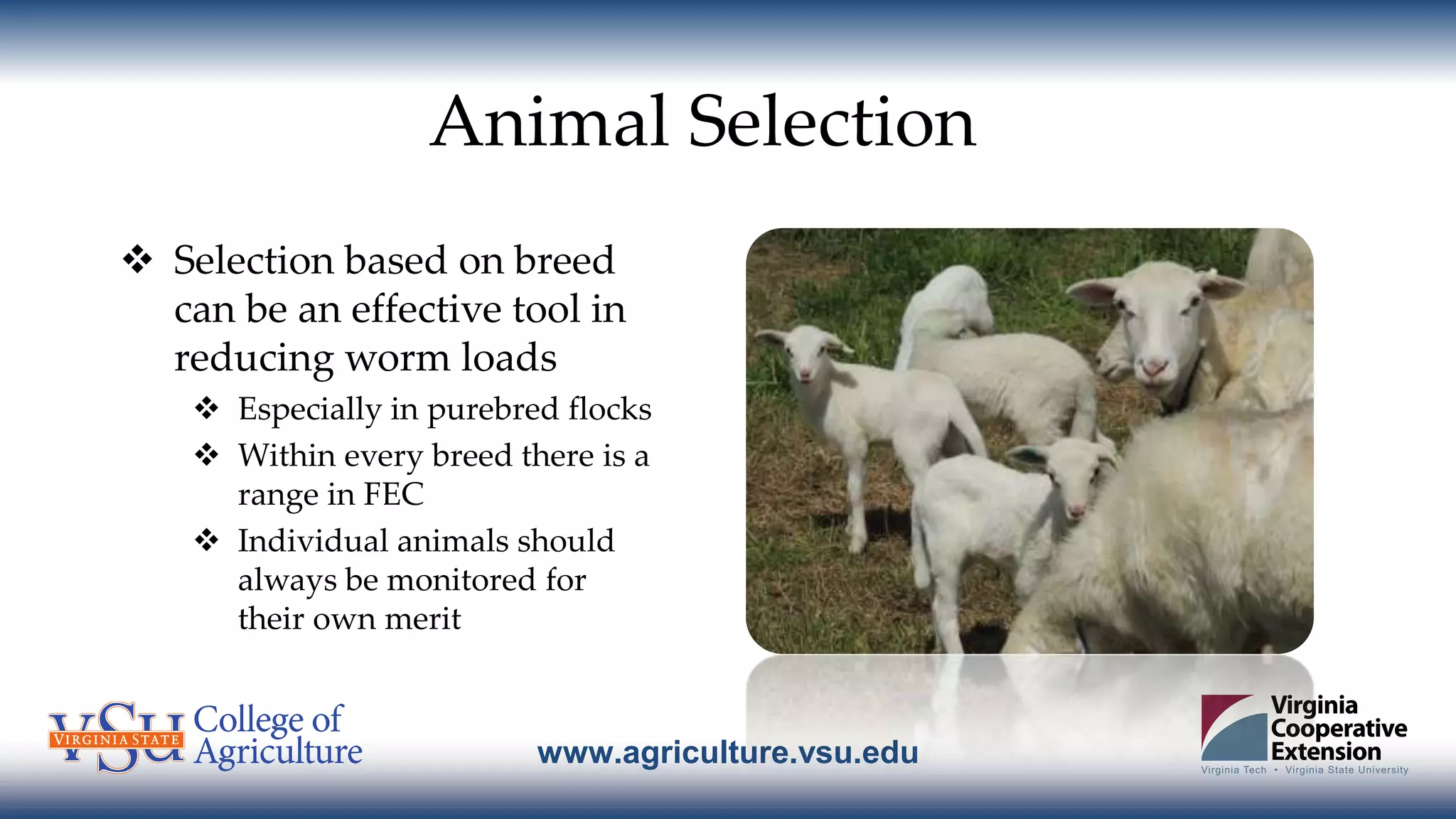 www.agriculture.vsu.edu
Animal Selection
 Selection based on breed
can be an effective tool in
reducing worm loads
 Especially in purebred flocks
 Within every breed there is a
range in FEC
 Individual animals should
always be monitored for
their own merit
 