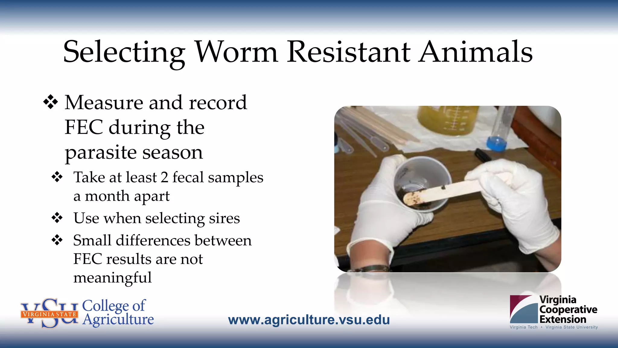 www.agriculture.vsu.edu
Selecting Worm Resistant Animals
 Measure and record
FEC during the
parasite season
 Take at least 2 fecal samples
a month apart
 Use when selecting sires
 Small differences between
FEC results are not
meaningful
 