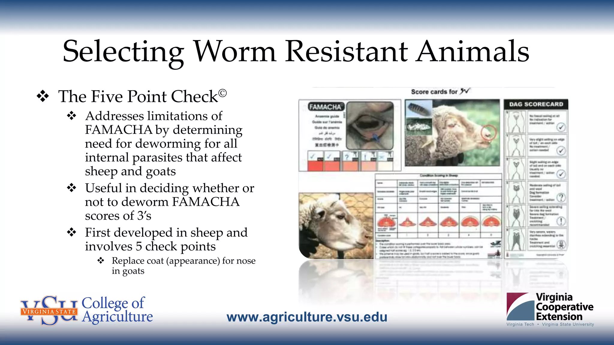 www.agriculture.vsu.edu
Selecting Worm Resistant Animals
 The Five Point Check©
 Addresses limitations of
FAMACHA by determining
need for deworming for all
internal parasites that affect
sheep and goats
 Useful in deciding whether or
not to deworm FAMACHA
scores of 3’s
 First developed in sheep and
involves 5 check points
 Replace coat (appearance) for nose
in goats
 