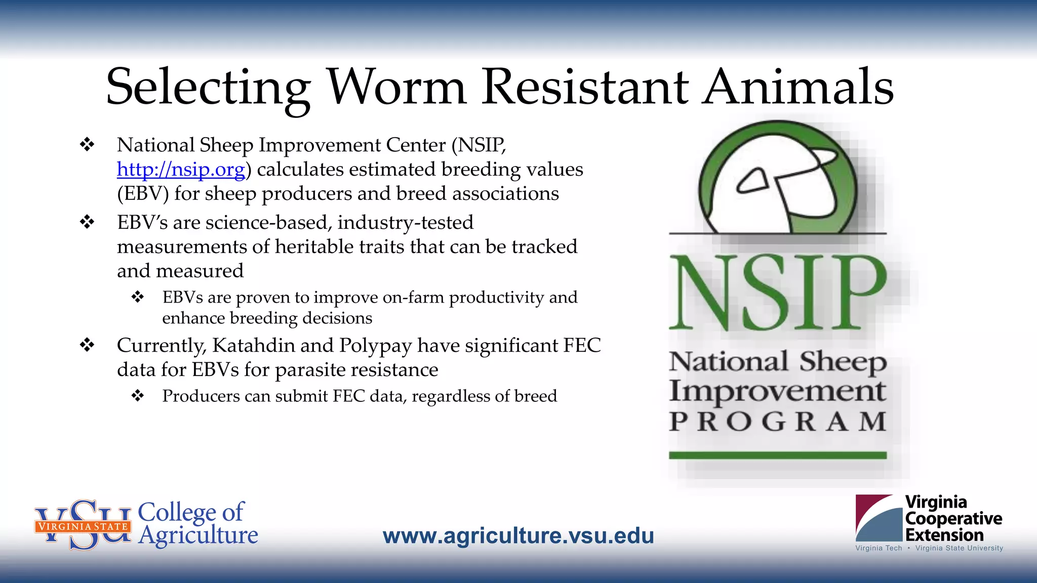 www.agriculture.vsu.edu
Selecting Worm Resistant Animals
 National Sheep Improvement Center (NSIP,
http://nsip.org) calculates estimated breeding values
(EBV) for sheep producers and breed associations
 EBV’s are science-based, industry-tested
measurements of heritable traits that can be tracked
and measured
 EBVs are proven to improve on-farm productivity and
enhance breeding decisions
 Currently, Katahdin and Polypay have significant FEC
data for EBVs for parasite resistance
 Producers can submit FEC data, regardless of breed
 