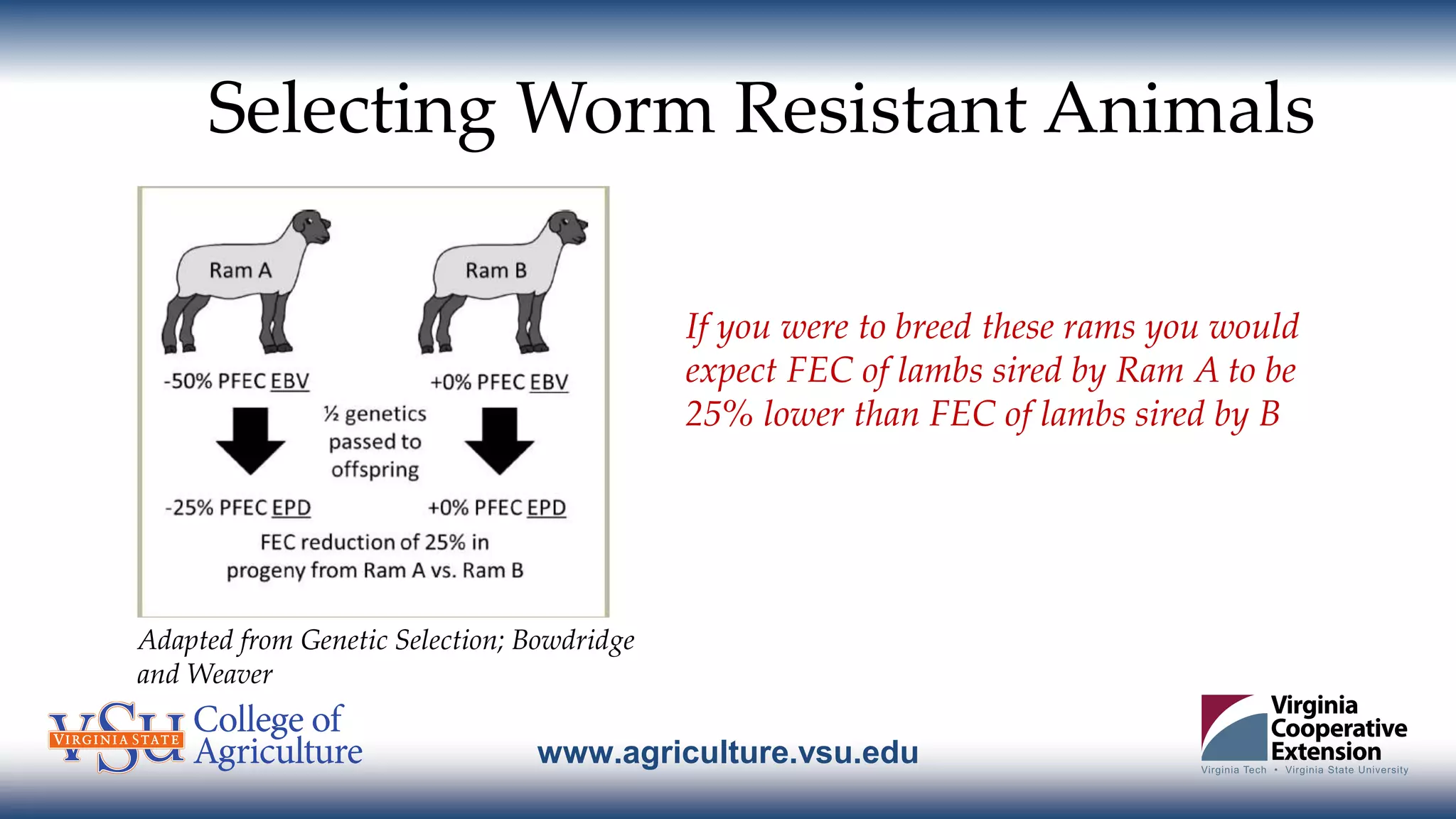 www.agriculture.vsu.edu
Selecting Worm Resistant Animals
If you were to breed these rams you would
expect FEC of lambs sired by Ram A to be
25% lower than FEC of lambs sired by B
Adapted from Genetic Selection; Bowdridge
and Weaver
 