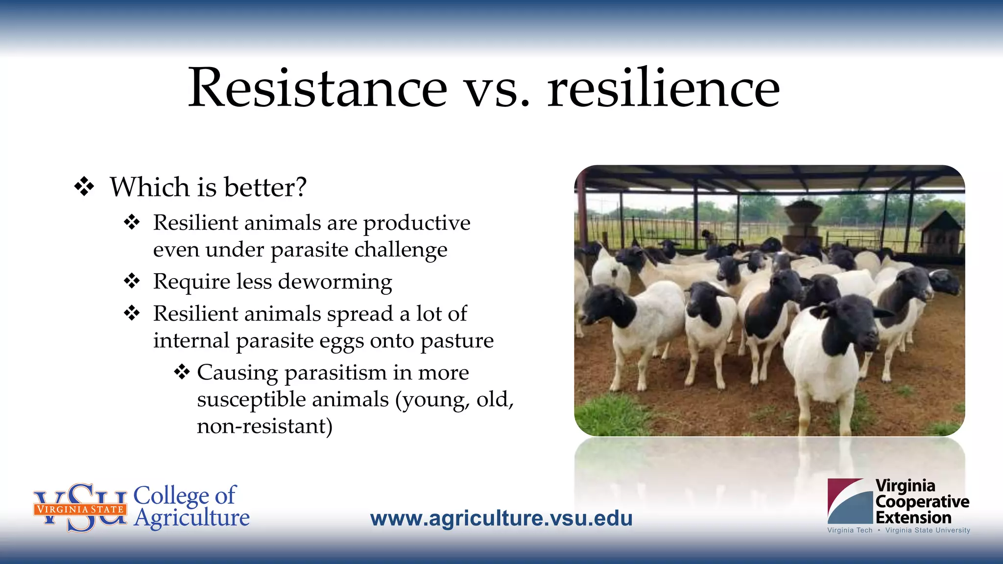 www.agriculture.vsu.edu
Resistance vs. resilience
 Which is better?
 Resilient animals are productive
even under parasite challenge
 Require less deworming
 Resilient animals spread a lot of
internal parasite eggs onto pasture
 Causing parasitism in more
susceptible animals (young, old,
non-resistant)
 