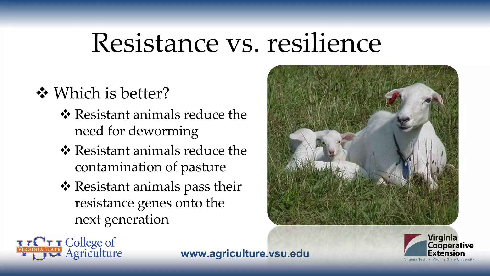 www.agriculture.vsu.edu
Resistance vs. resilience
 Which is better?
 Resistant animals reduce the
need for deworming
 Resistant animals reduce the
contamination of pasture
 Resistant animals pass their
resistance genes onto the
next generation
 