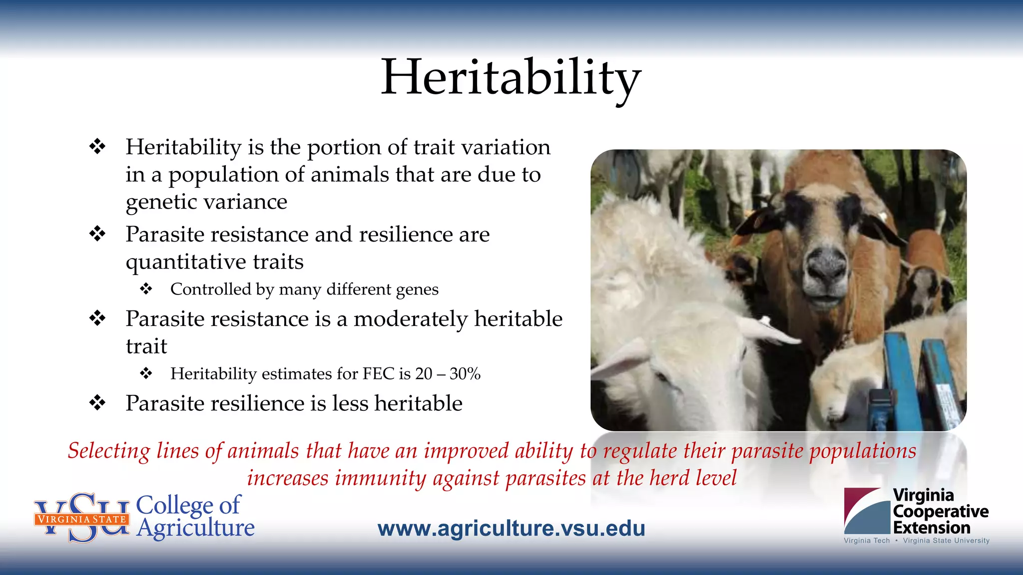 www.agriculture.vsu.edu
Heritability
 Heritability is the portion of trait variation
in a population of animals that are due to
genetic variance
 Parasite resistance and resilience are
quantitative traits
 Controlled by many different genes
 Parasite resistance is a moderately heritable
trait
 Heritability estimates for FEC is 20 – 30%
 Parasite resilience is less heritable
Selecting lines of animals that have an improved ability to regulate their parasite populations
increases immunity against parasites at the herd level
 