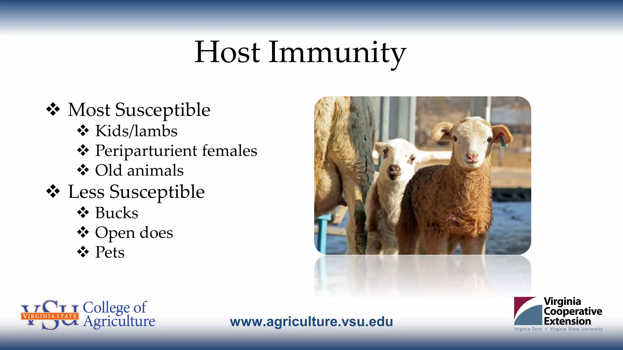 www.agriculture.vsu.edu
Host Immunity
 Most Susceptible
 Kids/lambs
 Periparturient females
 Old animals
 Less Susceptible
 Bucks
 Open does
 Pets
 