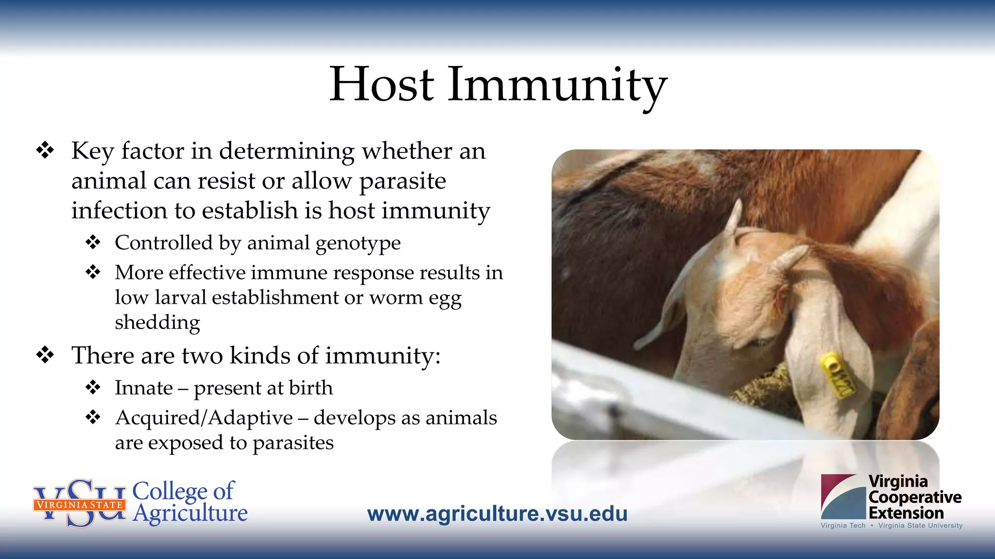 www.agriculture.vsu.edu
Host Immunity
 Key factor in determining whether an
animal can resist or allow parasite
infection to establish is host immunity
 Controlled by animal genotype
 More effective immune response results in
low larval establishment or worm egg
shedding
 There are two kinds of immunity:
 Innate – present at birth
 Acquired/Adaptive – develops as animals
are exposed to parasites
 