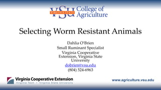 www.agriculture.vsu.edu
Selecting Worm Resistant Animals
Dahlia O’Brien
Small Ruminant Specialist
Virginia Cooperative
Ext...