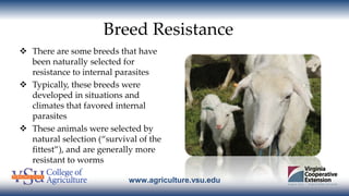 www.agriculture.vsu.edu
Breed Resistance
 There are some breeds that have
been naturally selected for
resistance to inter...